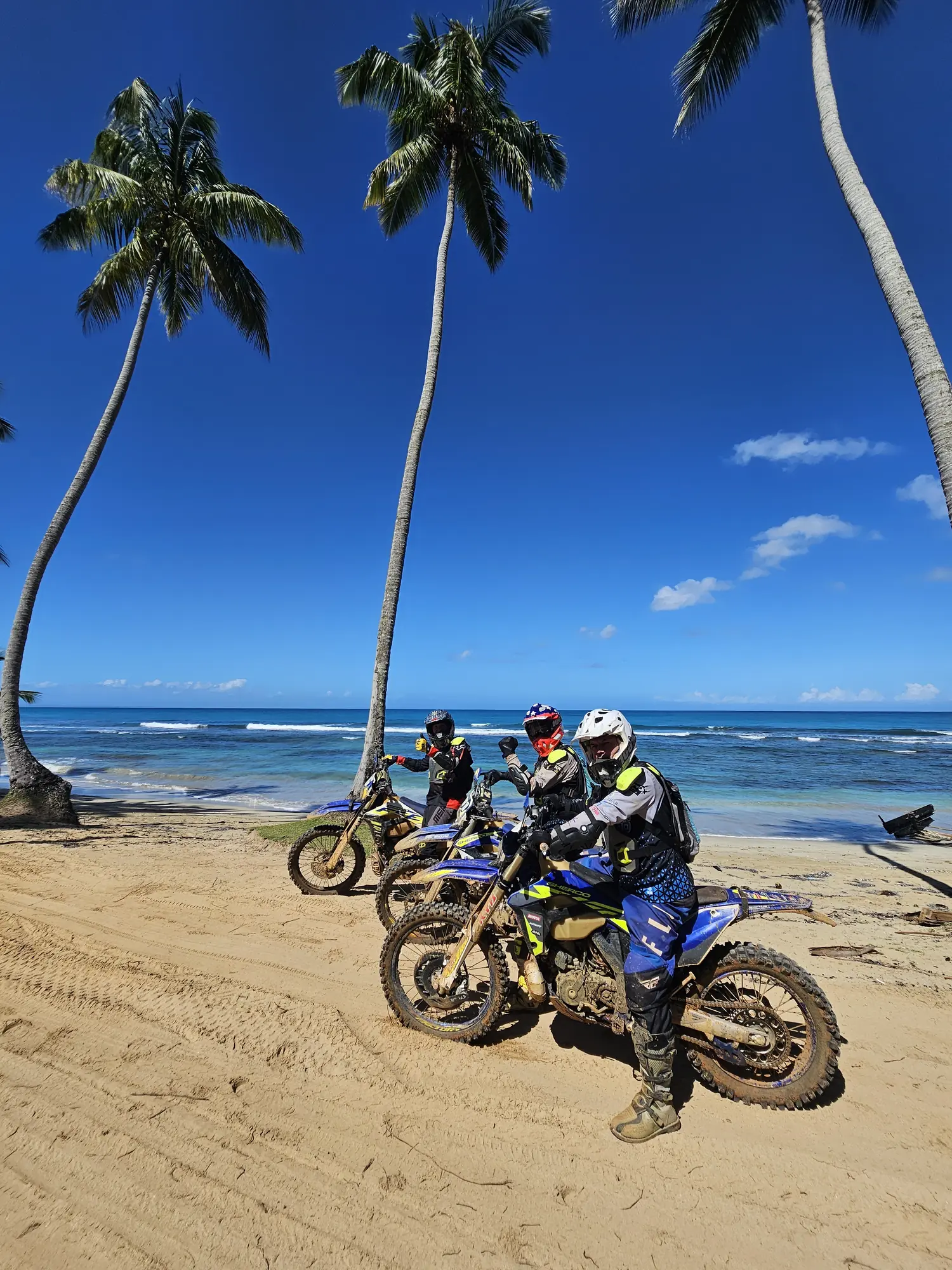 Riders on the sand under palm trees