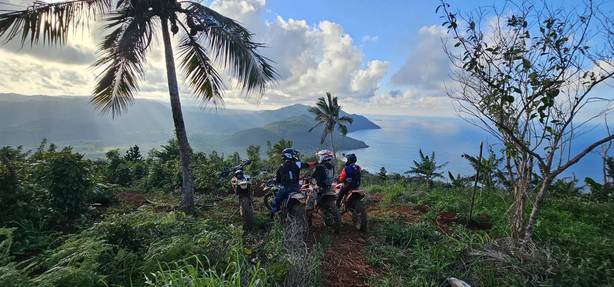 Group on a coastal hilltop with palm trees