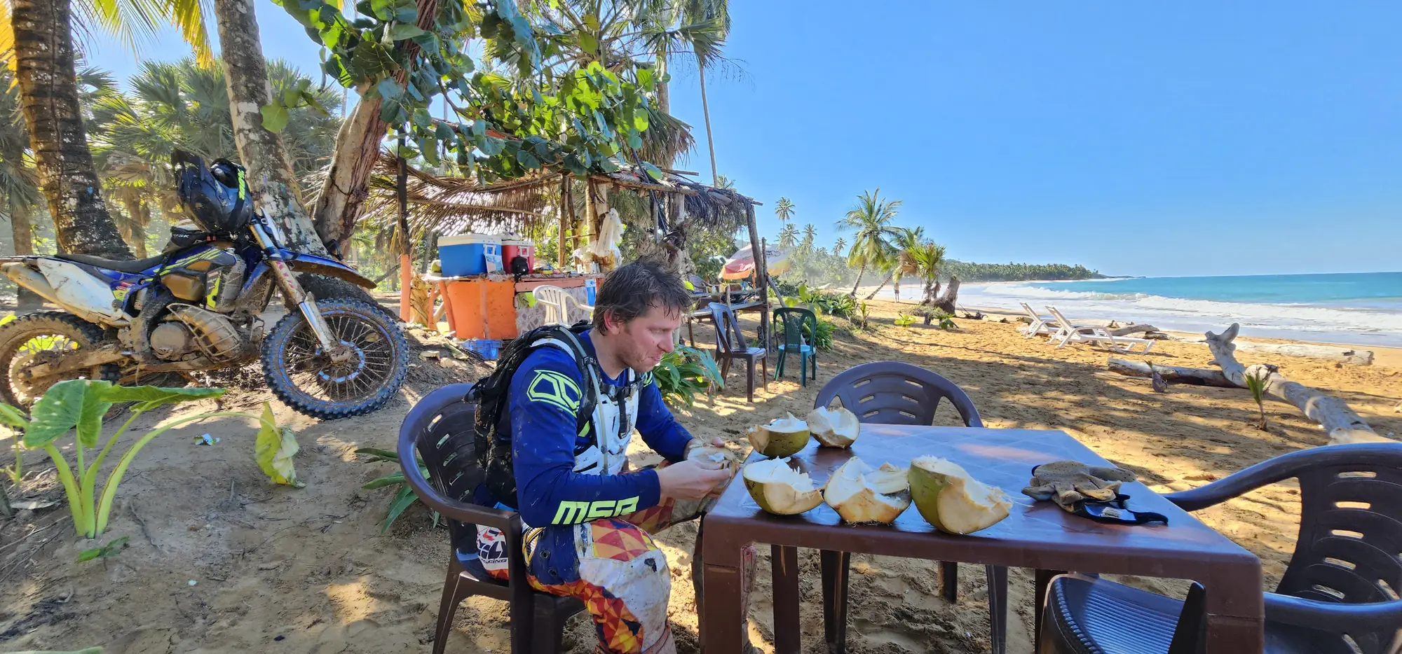 Fresh coconuts at a beach stop