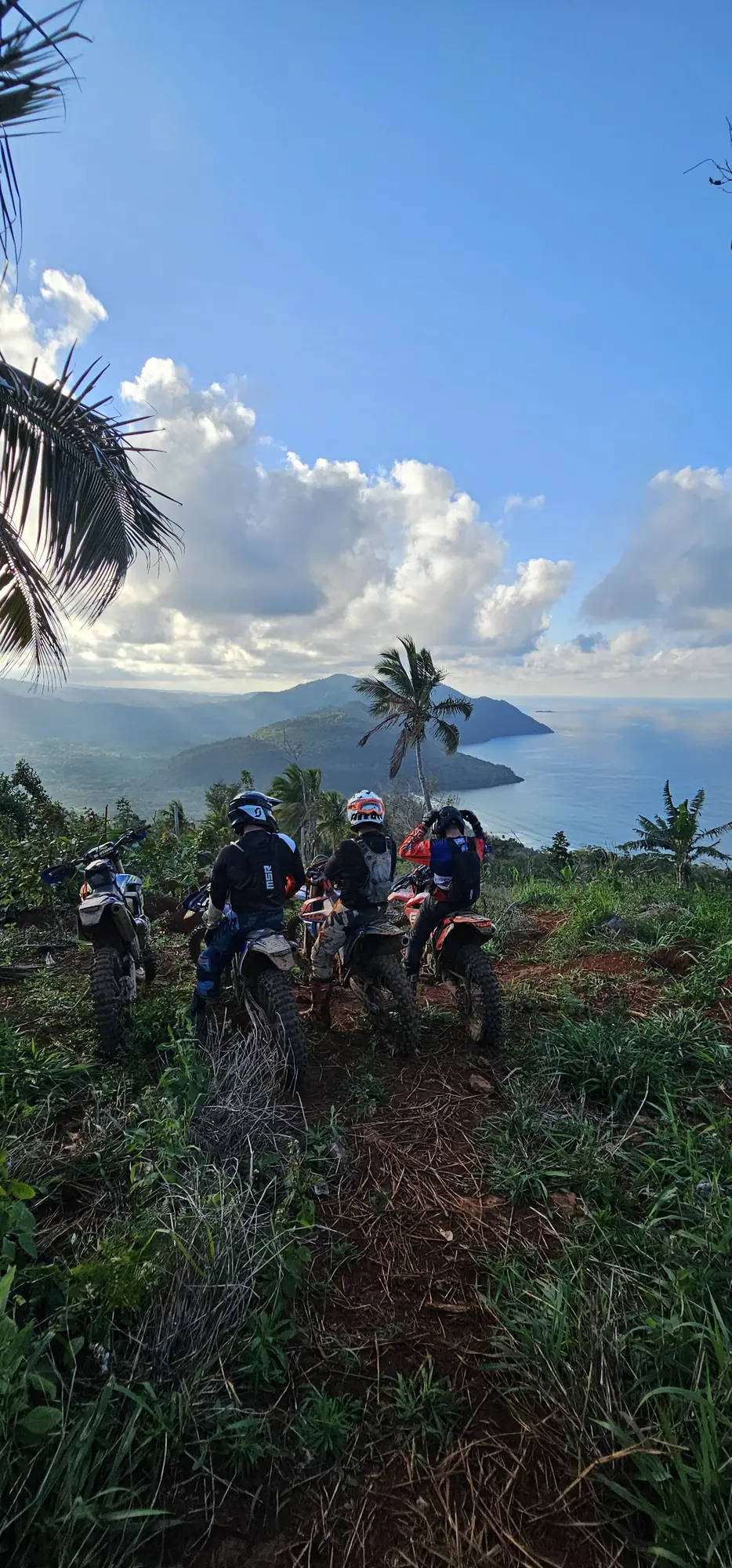 Riders on a palm-lined trail above the bay