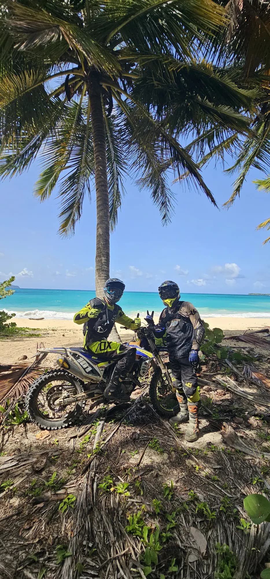 Riders under the palms on the beach