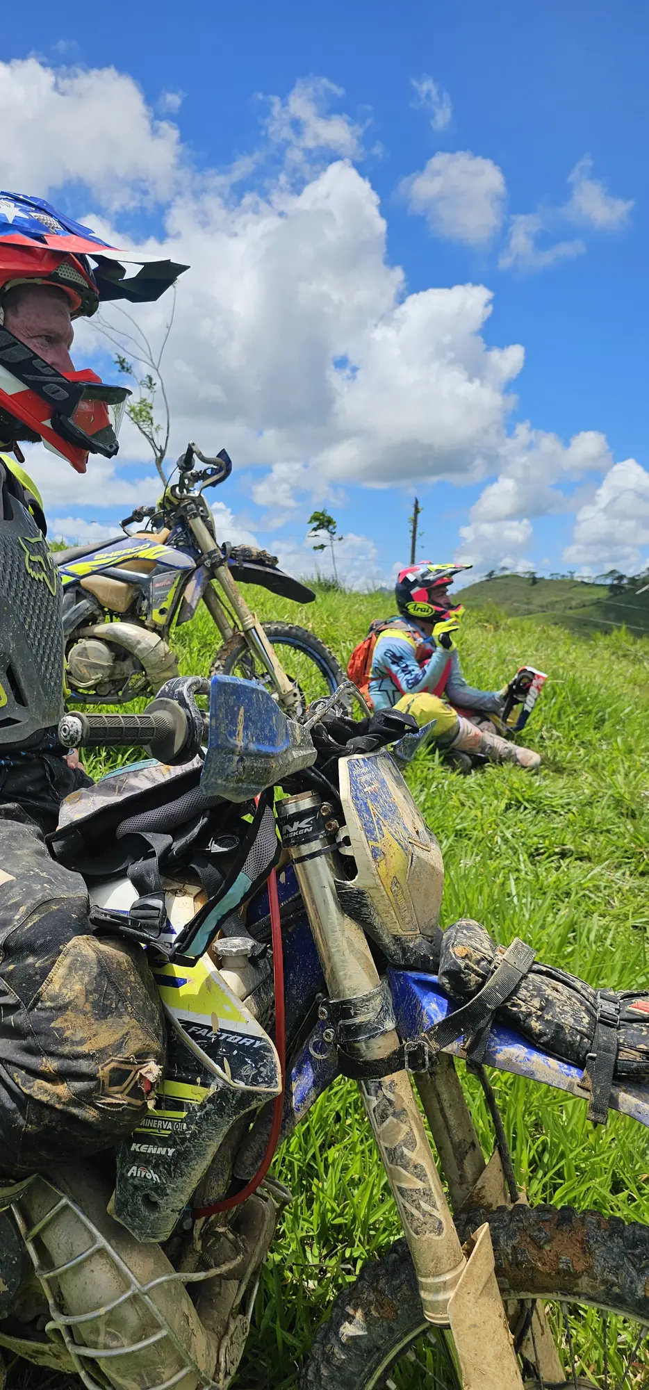 Rider's view from the saddle on a grassy hill
